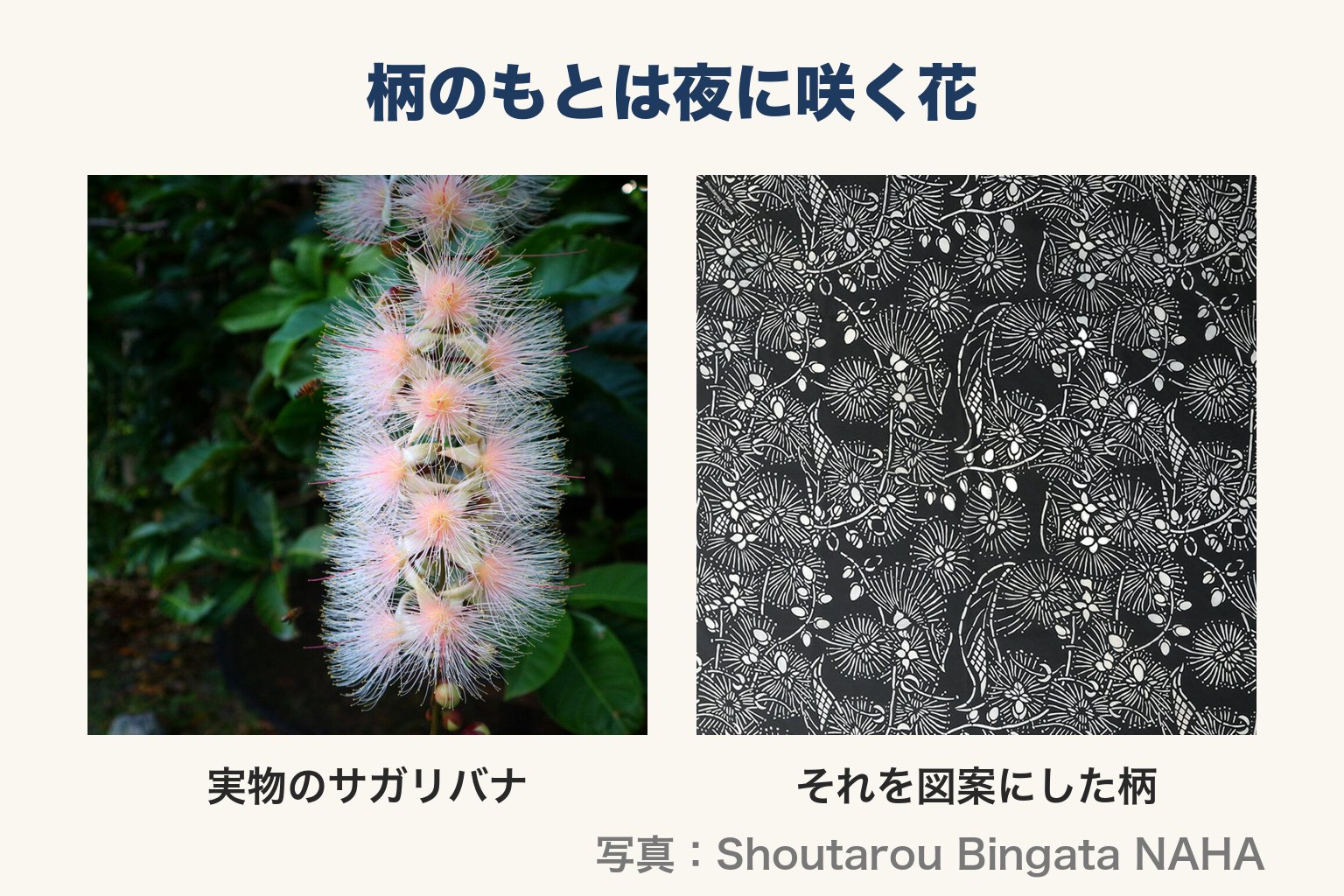 左：実物のサガリバナ　右：それを図案にした柄